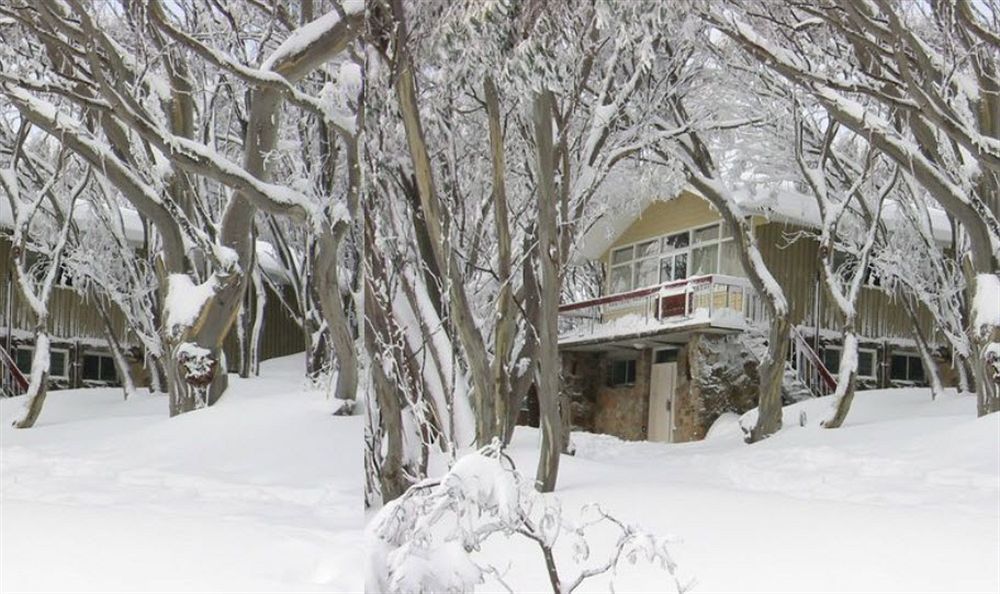 Amber Lodge Mt Buller Mount Buller Exteriör bild